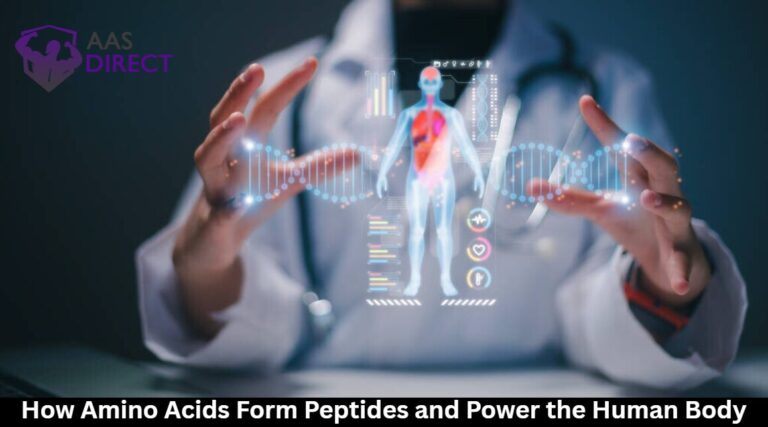 Amino Acids Form Peptides 768x427 1