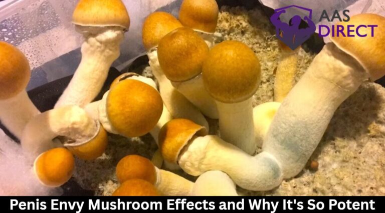 Penis Envy Mushroom Effects 768x426 1